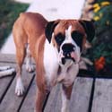 Charlie