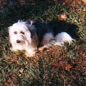 Lilla