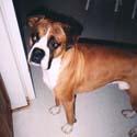 Lilman 3
