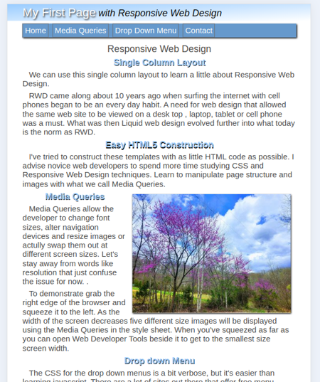 web page in browser