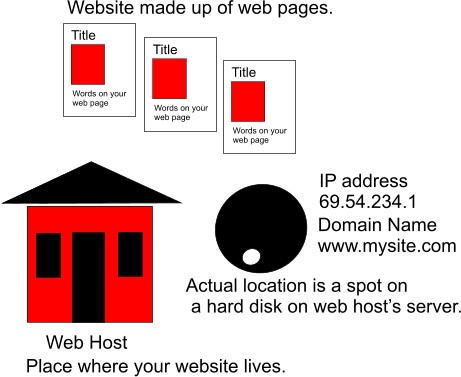 What is web hosting