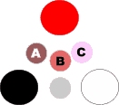 tints tones shades